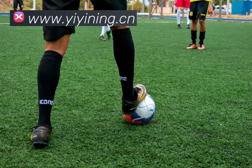 ng官网下载(中国)官方入口平台生态图